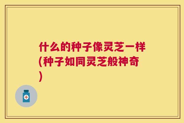 什么的种子像灵芝一样(种子如同灵芝般神奇) 什么的种子像灵芝一样(种子如同灵芝般神奇)
