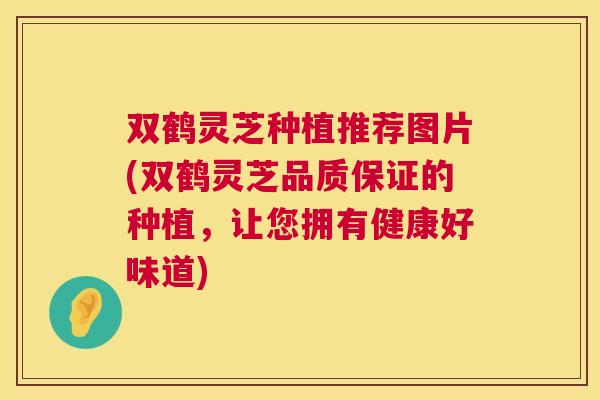 双鹤灵芝种植推荐图片(双鹤灵芝品质保证的种植,让您拥有健康好味道) 双鹤灵芝种植推荐图片(双鹤灵芝品质保证的种植,让您拥有健康好味道)