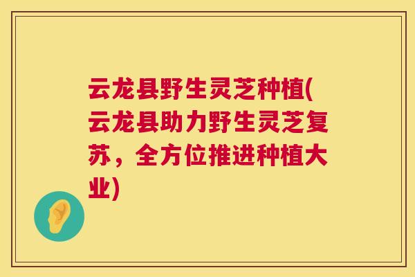 云龙县野生灵芝种植(云龙县助力野生灵芝复苏,全方位推进种植大业) 云龙县野生灵芝种植(云龙县助力野生灵芝复苏,全方位推进种植大业)