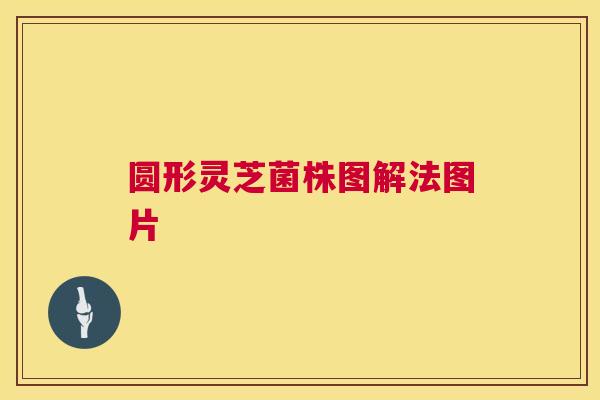 圆形灵芝菌株图解法图片 圆形灵芝菌株图解法图片