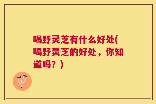 喝野灵芝有什么好处(喝野灵芝的好处,你知道吗?) 喝野灵芝有什么好处(喝野灵芝的好处,你知道吗?)
