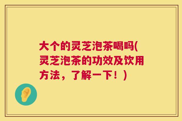 大个的灵芝泡茶喝吗(灵芝泡茶的功效及饮用方法,了解一下!) 大个的灵芝泡茶喝吗(灵芝泡茶的功效及饮用方法,了解一下!)