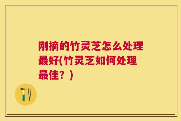 刚摘的竹灵芝怎么处理好(竹灵芝如何处理佳?) 刚摘的竹灵芝怎么处理好(竹灵芝如何处理佳?)