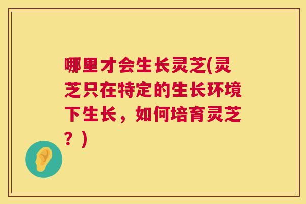 哪里才会生长灵芝(灵芝只在特定的生长环境下生长,如何培育灵芝?) 哪里才会生长灵芝(灵芝只在特定的生长环境下生长,如何培育灵芝?)
