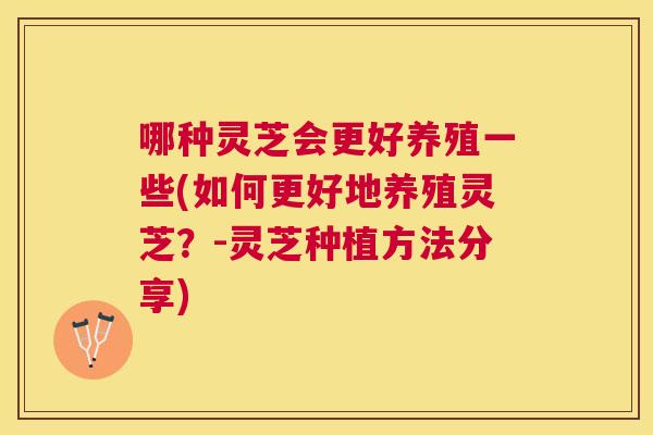 哪种灵芝会更好养殖一些(如何更好地养殖灵芝?-灵芝种植方法分享) 哪种灵芝会更好养殖一些(如何更好地养殖灵芝?-灵芝种植方法分享)