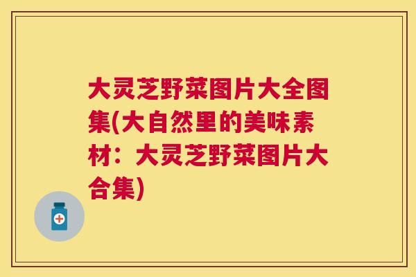 大灵芝野菜图片大全图集(大自然里的美味素材:大灵芝野菜图片大合集) 大灵芝野菜图片大全图集(大自然里的美味素材:大灵芝野菜图片大合集)