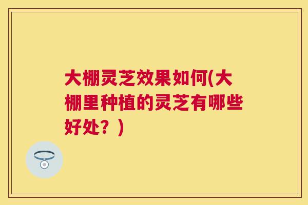 大棚灵芝效果如何(大棚里种植的灵芝有哪些好处?) 大棚灵芝效果如何(大棚里种植的灵芝有哪些好处?)