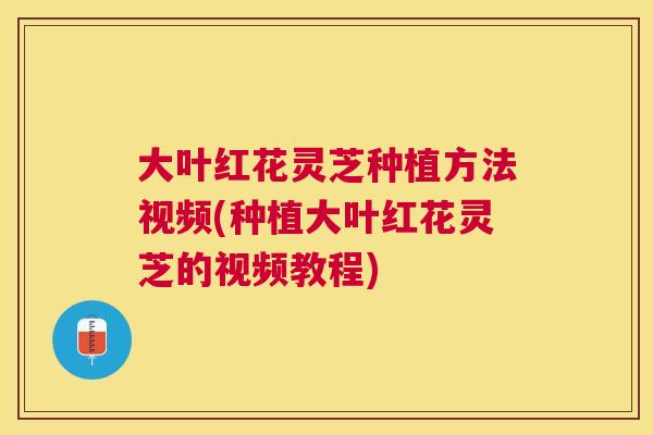 大叶红花灵芝种植方法视频(种植大叶红花灵芝的视频教程) 大叶红花灵芝种植方法视频(种植大叶红花灵芝的视频教程)