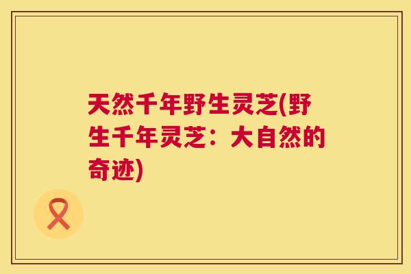 天然千年野生灵芝(野生千年灵芝:大自然的奇迹) 天然千年野生灵芝(野生千年灵芝:大自然的奇迹)