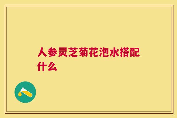 人参灵芝菊花泡水搭配什么