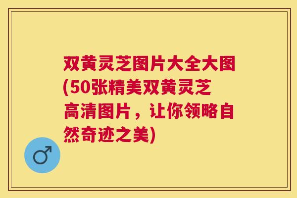 双黄灵芝图片大全大图(50张精美双黄灵芝高清图片,让你领略自然奇迹之美) 双黄灵芝图片大全大图(50张精美双黄灵芝高清图片,让你领略自然奇迹之美)