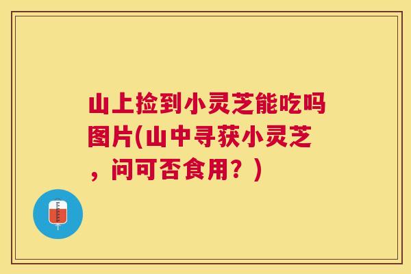 山上捡到小灵芝能吃吗图片(山中寻获小灵芝,问可否食用?) 山上捡到小灵芝能吃吗图片(山中寻获小灵芝,问可否食用?)