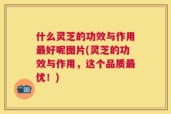 什么灵芝的功效与作用好呢图片(灵芝的功效与作用,这个品质优!) 什么灵芝的功效与作用好呢图片(灵芝的功效与作用,这个品质优!)
