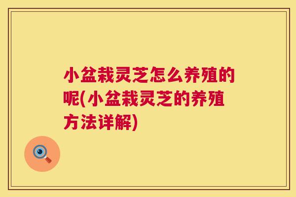 小盆栽灵芝怎么养殖的呢(小盆栽灵芝的养殖方法详解) 小盆栽灵芝怎么养殖的呢(小盆栽灵芝的养殖方法详解)