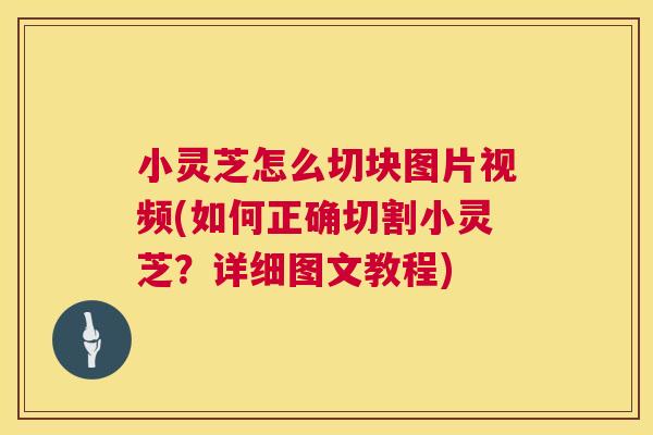 小灵芝怎么切块图片视频(如何正确切割小灵芝?详细图文教程) 小灵芝怎么切块图片视频(如何正确切割小灵芝?详细图文教程)