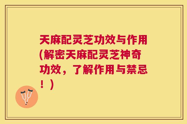 天麻配灵芝功效与作用(解密天麻配灵芝神奇功效,了解作用与禁忌!) 天麻配灵芝功效与作用(解密天麻配灵芝神奇功效,了解作用与禁忌!)