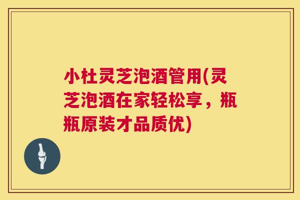 小杜灵芝泡酒管用(灵芝泡酒在家轻松享,瓶瓶原装才品质优) 小杜灵芝泡酒管用(灵芝泡酒在家轻松享,瓶瓶原装才品质优)