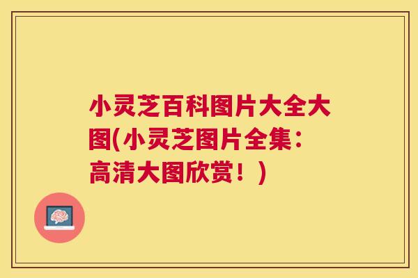 小灵芝百科图片大全大图(小灵芝图片全集:高清大图欣赏!) 小灵芝百科图片大全大图(小灵芝图片全集:高清大图欣赏!)