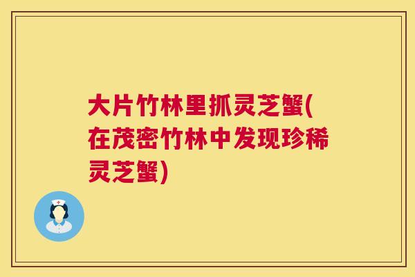 大片竹林里抓灵芝蟹(在茂密竹林中发现珍稀灵芝蟹) 大片竹林里抓灵芝蟹(在茂密竹林中发现珍稀灵芝蟹)