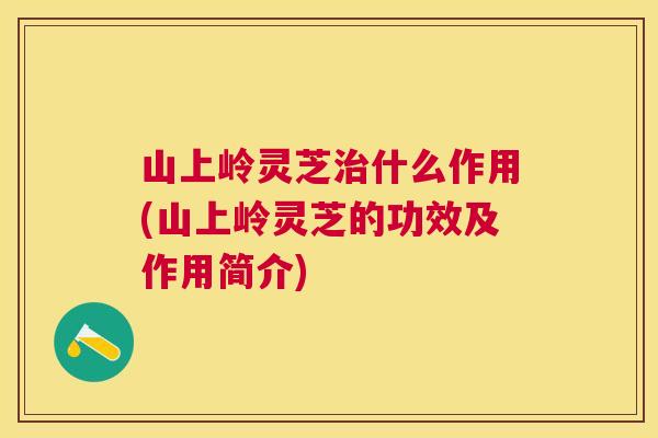 山上岭灵芝什么作用(山上岭灵芝的功效及作用简介) 山上岭灵芝什么作用(山上岭灵芝的功效及作用简介)