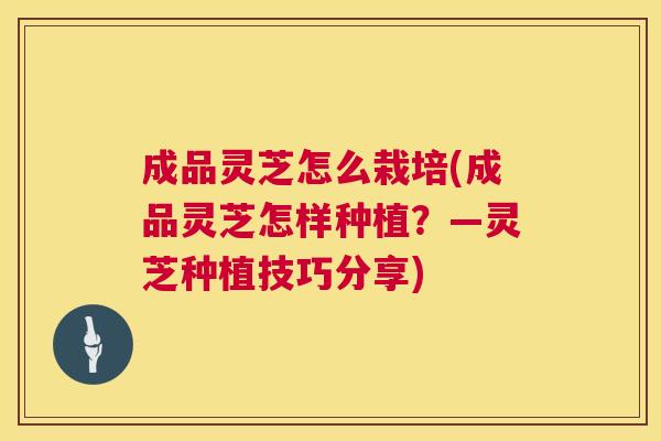 成品灵芝怎么栽培(成品灵芝怎样种植?—灵芝种植技巧分享) 成品灵芝怎么栽培(成品灵芝怎样种植?—灵芝种植技巧分享)