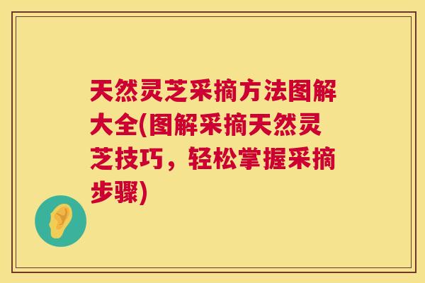 天然灵芝采摘方法图解大全(图解采摘天然灵芝技巧,轻松掌握采摘步骤) 天然灵芝采摘方法图解大全(图解采摘天然灵芝技巧,轻松掌握采摘步骤)