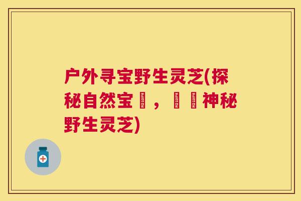 户外寻宝野生灵芝(探秘自然宝庫,發現神秘野生灵芝) 户外寻宝野生灵芝(探秘自然宝庫,發現神秘野生灵芝)