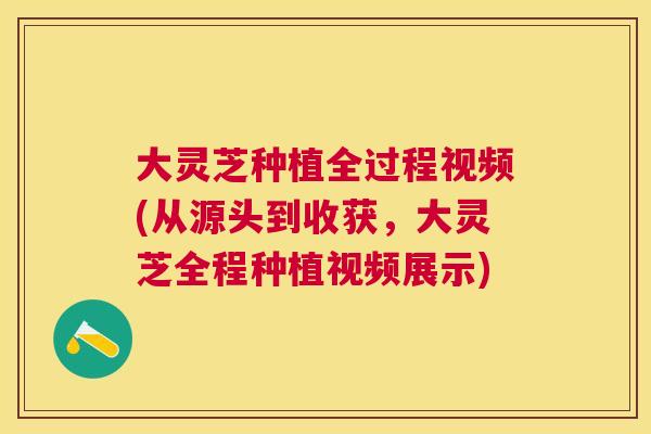 大灵芝种植全过程视频(从源头到收获,大灵芝全程种植视频展示) 大灵芝种植全过程视频(从源头到收获,大灵芝全程种植视频展示)
