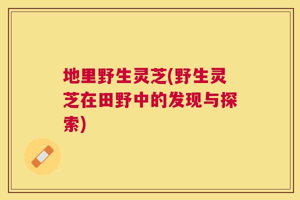 地里野生灵芝(野生灵芝在田野中的发现与探索) 地里野生灵芝(野生灵芝在田野中的发现与探索)