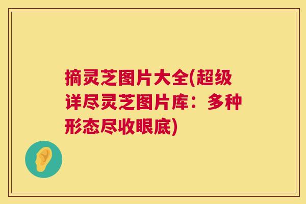 摘灵芝图片大全(超级详尽灵芝图片库:多种形态尽收眼底) 摘灵芝图片大全(超级详尽灵芝图片库:多种形态尽收眼底)