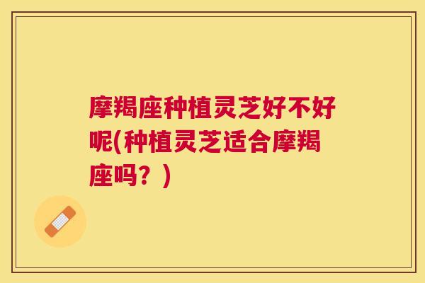 摩羯座种植灵芝好不好呢(种植灵芝适合摩羯座吗?) 摩羯座种植灵芝好不好呢(种植灵芝适合摩羯座吗?)