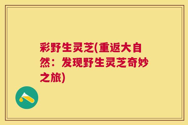 彩野生灵芝(重返大自然:发现野生灵芝奇妙之旅) 彩野生灵芝(重返大自然:发现野生灵芝奇妙之旅)