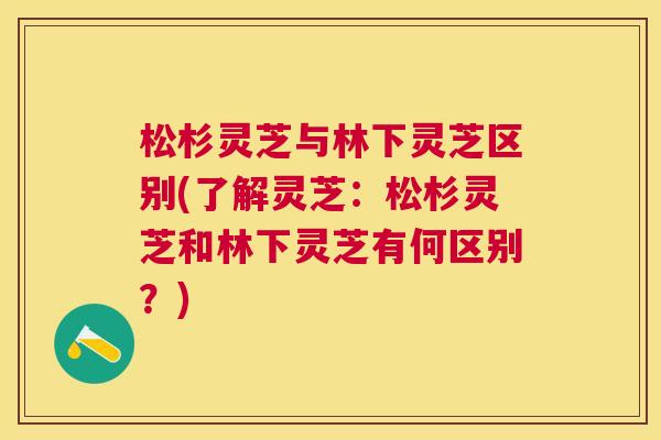 松杉灵芝与林下灵芝区别(了解灵芝:松杉灵芝和林下灵芝有何区别?) 松杉灵芝与林下灵芝区别(了解灵芝:松杉灵芝和林下灵芝有何区别?)