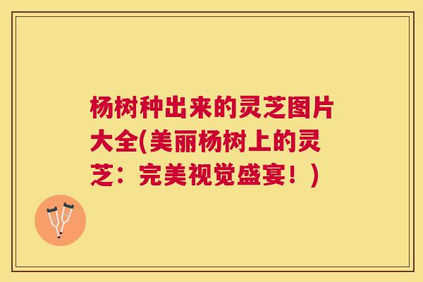 杨树种出来的灵芝图片大全(美丽杨树上的灵芝：完美视觉盛宴！)