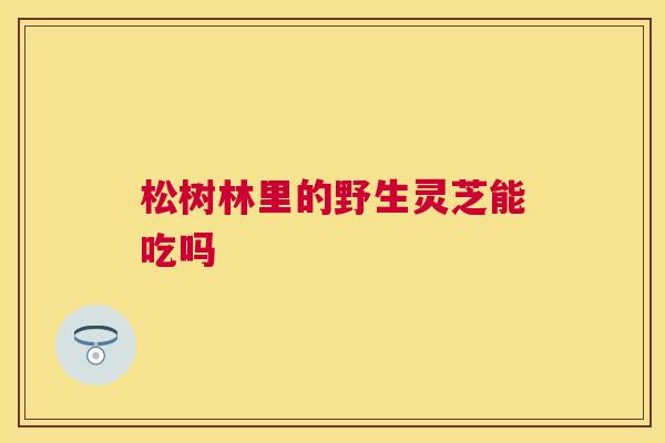 松树林里的野生灵芝能吃吗 松树林里的野生灵芝能吃吗