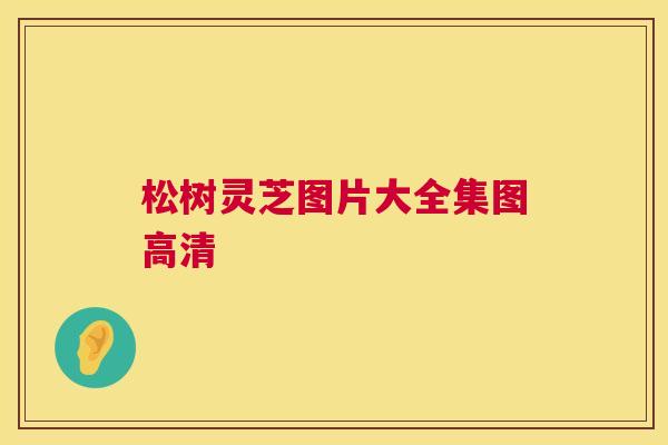 松树灵芝图片大全集图高清 松树灵芝图片大全集图高清