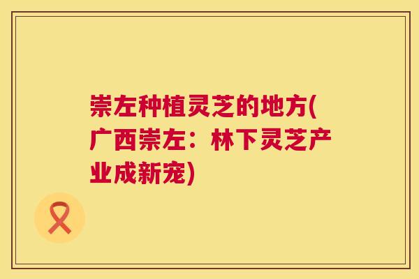崇左种植灵芝的地方(广西崇左:林下灵芝产业成新宠) 崇左种植灵芝的地方(广西崇左:林下灵芝产业成新宠)