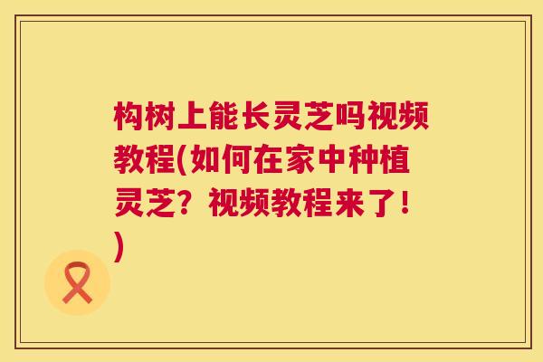 构树上能长灵芝吗视频教程(如何在家中种植灵芝？视频教程来了！)