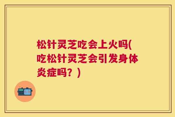 松针灵芝吃会上火吗(吃松针灵芝会引发身体吗?) 松针灵芝吃会上火吗(吃松针灵芝会引发身体吗?)