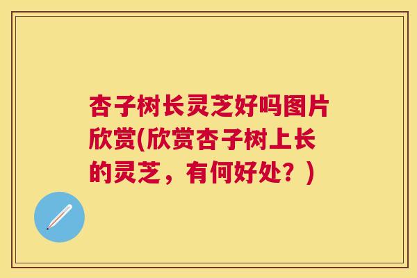 杏子树长灵芝好吗图片欣赏(欣赏杏子树上长的灵芝,有何好处?) 杏子树长灵芝好吗图片欣赏(欣赏杏子树上长的灵芝,有何好处?)