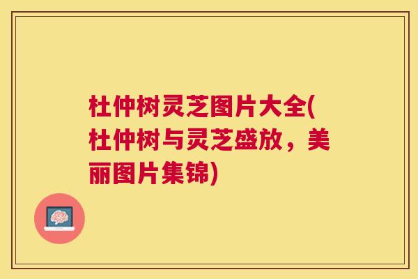 杜仲树灵芝图片大全(杜仲树与灵芝盛放,美丽图片集锦) 杜仲树灵芝图片大全(杜仲树与灵芝盛放,美丽图片集锦)