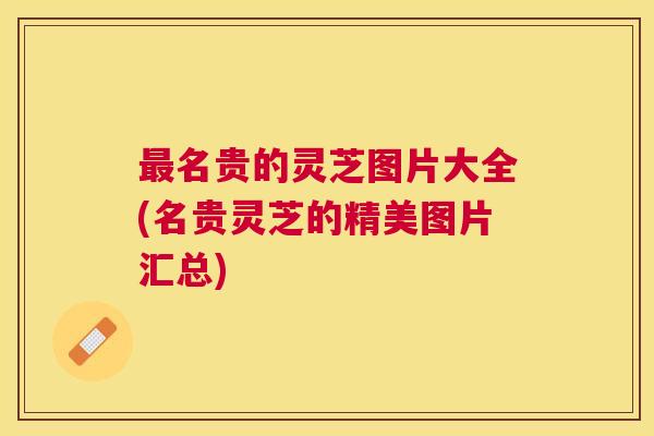 名贵的灵芝图片大全(名贵灵芝的精美图片汇总) 名贵的灵芝图片大全(名贵灵芝的精美图片汇总)