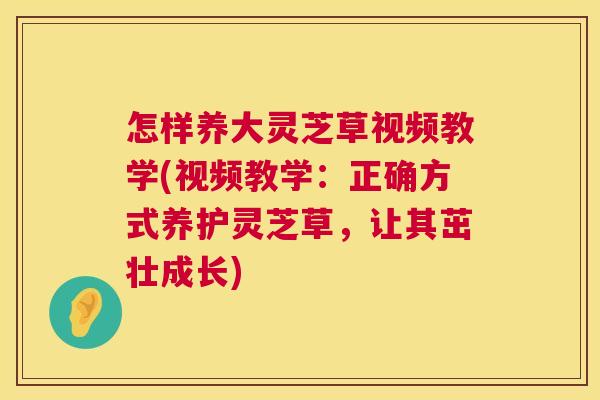 怎样养大灵芝草视频教学(视频教学:正确方式养护灵芝草,让其茁壮成长) 怎样养大灵芝草视频教学(视频教学:正确方式养护灵芝草,让其茁壮成长)