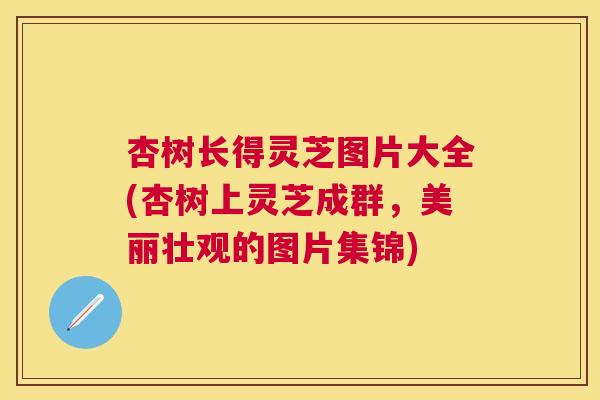 杏树长得灵芝图片大全(杏树上灵芝成群,美丽壮观的图片集锦) 杏树长得灵芝图片大全(杏树上灵芝成群,美丽壮观的图片集锦)