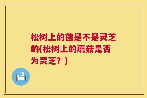 松树上的菌是不是灵芝的(松树上的蘑菇是否为灵芝?) 松树上的菌是不是灵芝的(松树上的蘑菇是否为灵芝?)