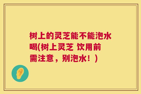 树上的灵芝能不能泡水喝(树上灵芝 饮用前需注意,别泡水!) 树上的灵芝能不能泡水喝(树上灵芝 饮用前需注意,别泡水!)
