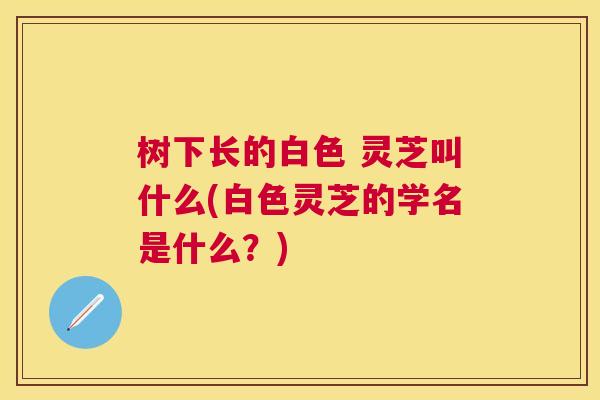 树下长的白色 灵芝叫什么(白色灵芝的学名是什么？)