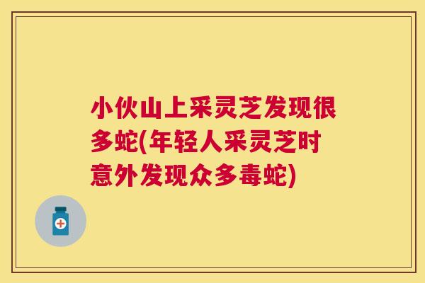 小伙山上采灵芝发现很多蛇(年轻人采灵芝时意外发现众多毒蛇)