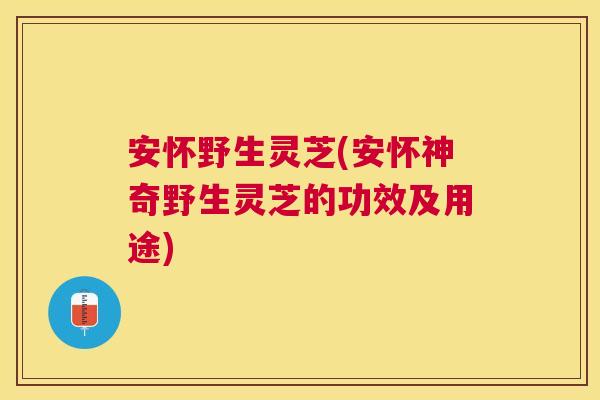 安怀野生灵芝(安怀神奇野生灵芝的功效及用途) 安怀野生灵芝(安怀神奇野生灵芝的功效及用途)