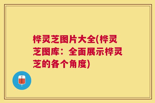 桦灵芝图片大全(桦灵芝图库:全面展示桦灵芝的各个角度) 桦灵芝图片大全(桦灵芝图库:全面展示桦灵芝的各个角度)